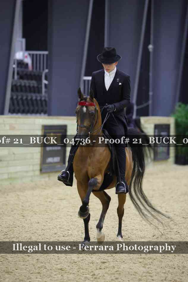 Proof 21_BUCK_04736