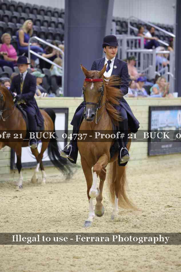 Proof 21_BUCK_04737