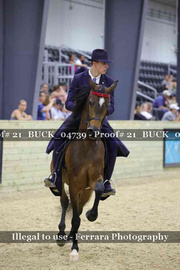 Proof 21_BUCK_04739
