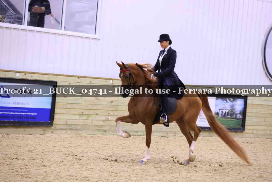 Proof 21_BUCK_04741