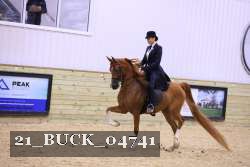 21_BUCK_04741 proof
