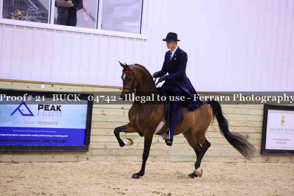 Proof 21_BUCK_04742