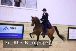 21_BUCK_04742 proof