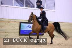 21_BUCK_04743 proof