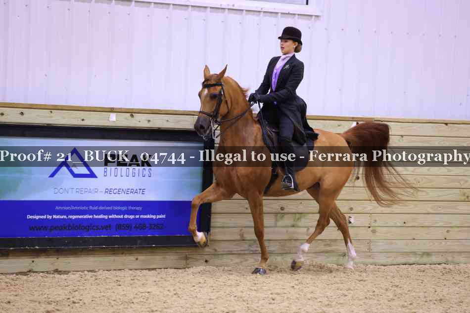 Proof 21_BUCK_04744
