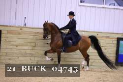 21_BUCK_04745 proof