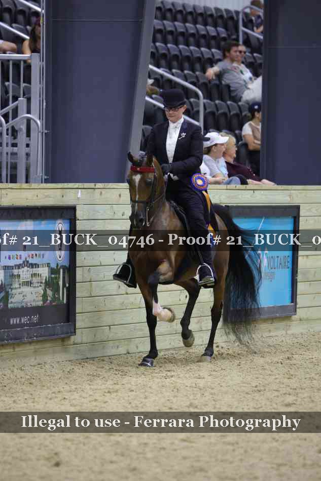 Proof 21_BUCK_04746
