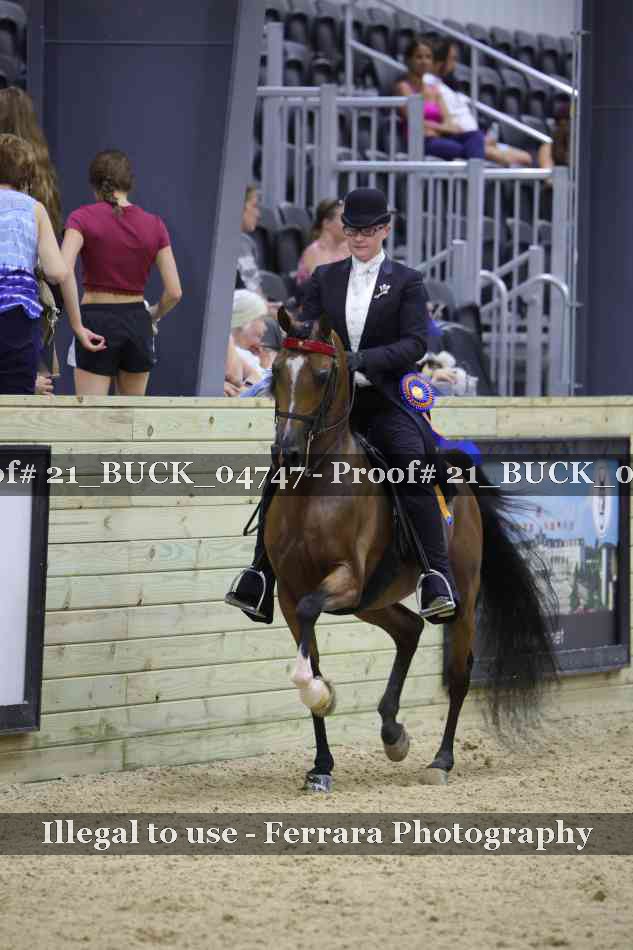 Proof 21_BUCK_04747