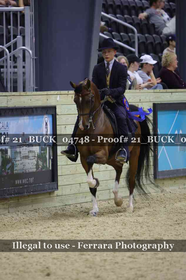 Proof 21_BUCK_04748
