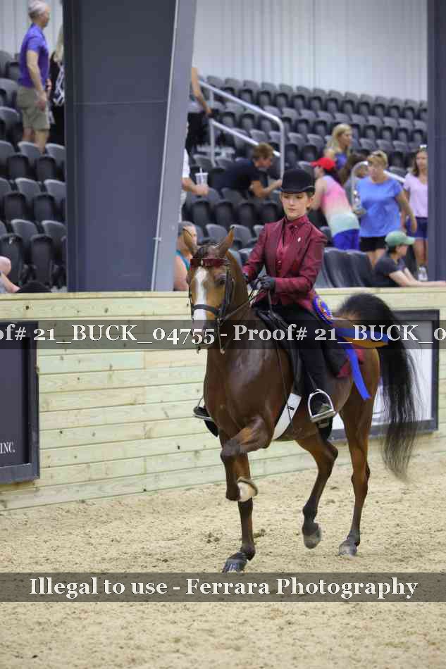 Proof 21_BUCK_04755
