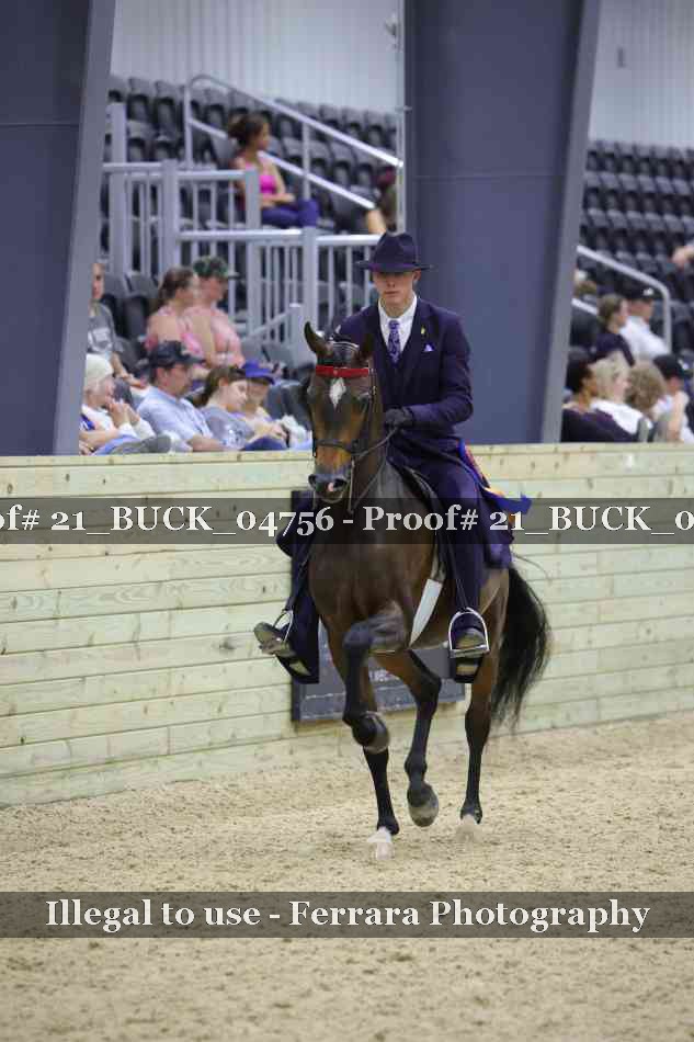 Proof 21_BUCK_04756