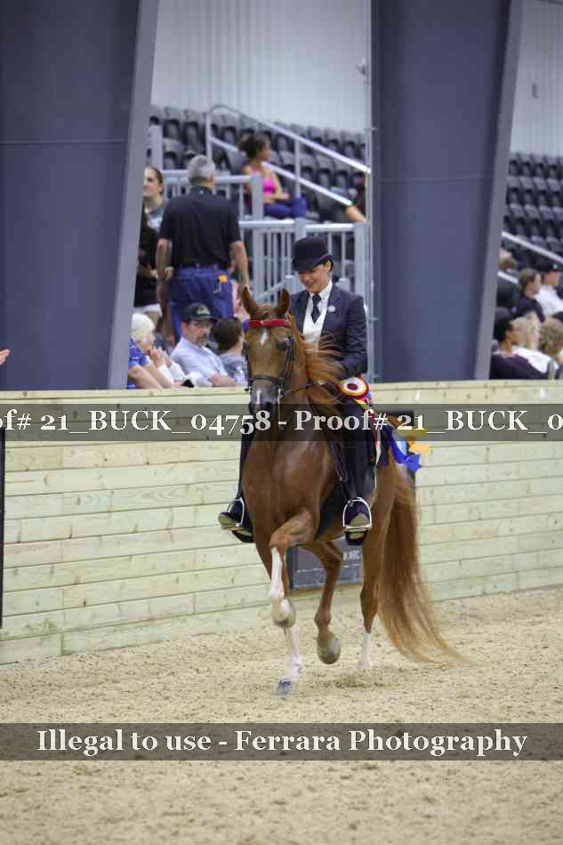 Proof 21_BUCK_04758
