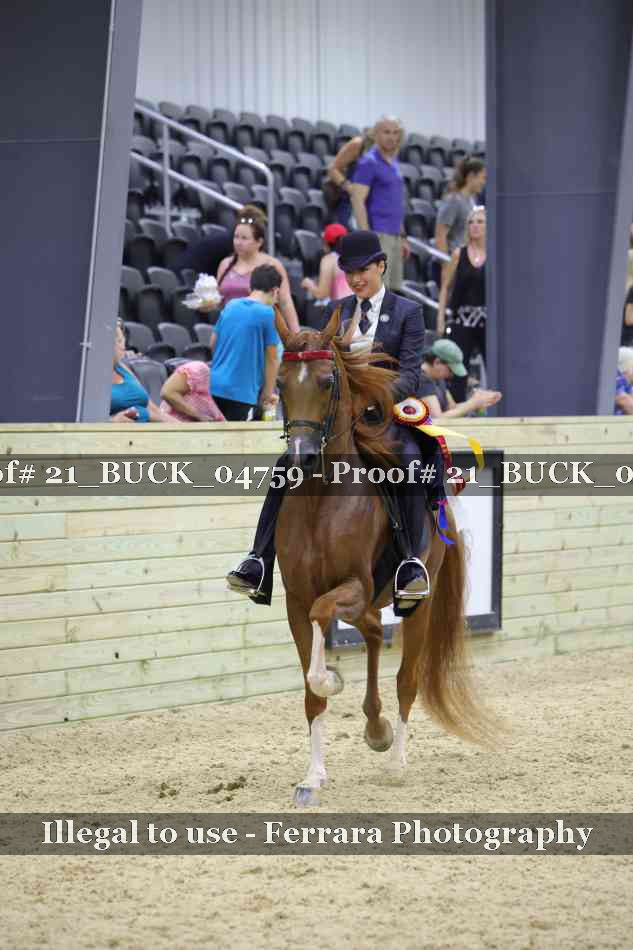 Proof 21_BUCK_04759