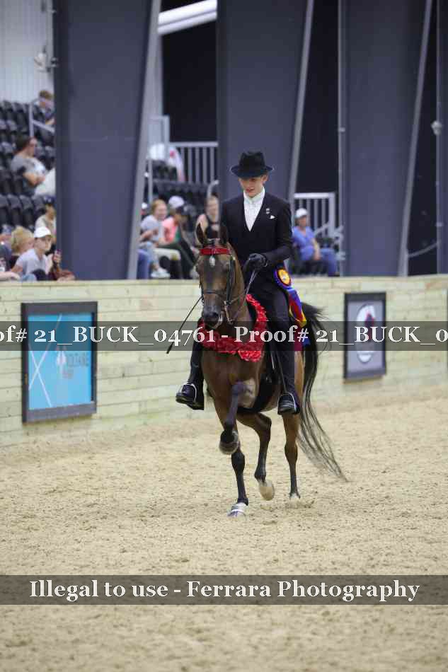 Proof 21_BUCK_04761