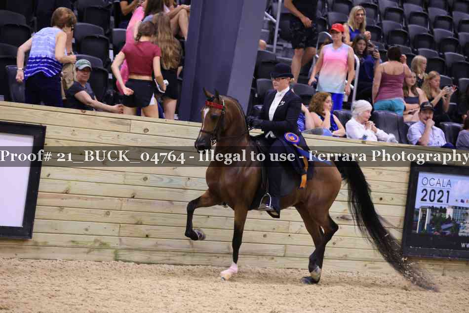 Proof 21_BUCK_04764