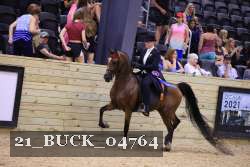 21_BUCK_04764 proof