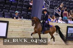 21_BUCK_04765 proof