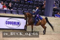 21_BUCK_04766 proof