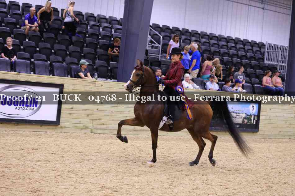 Proof 21_BUCK_04768