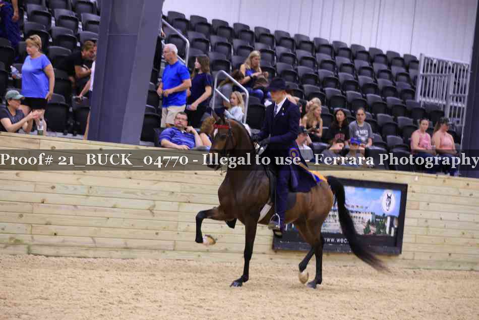 Proof 21_BUCK_04770