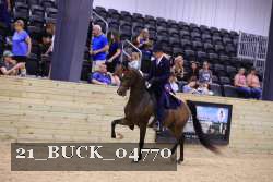 21_BUCK_04770 proof