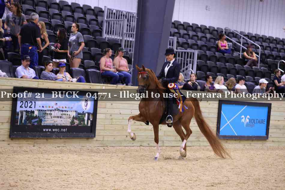 Proof 21_BUCK_04771