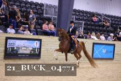 21_BUCK_04771 proof