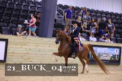 21_BUCK_04772 proof