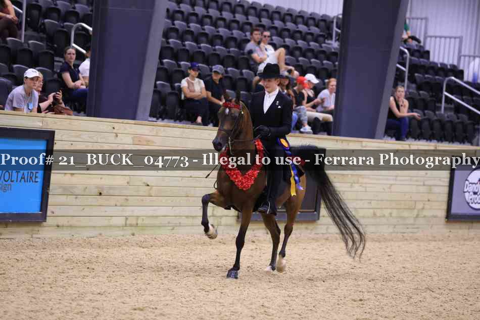 Proof 21_BUCK_04773