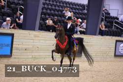 21_BUCK_04773 proof
