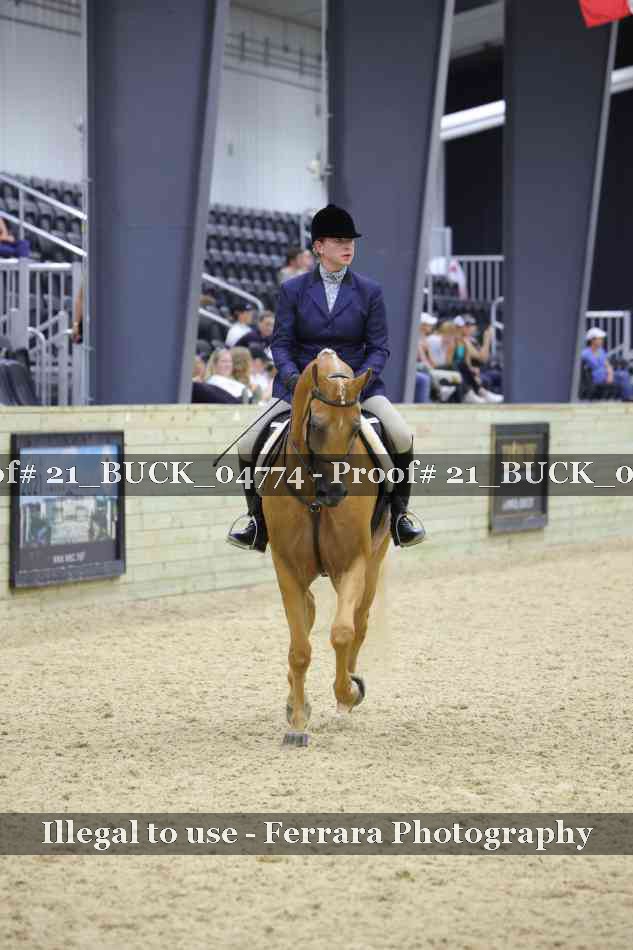Proof 21_BUCK_04774