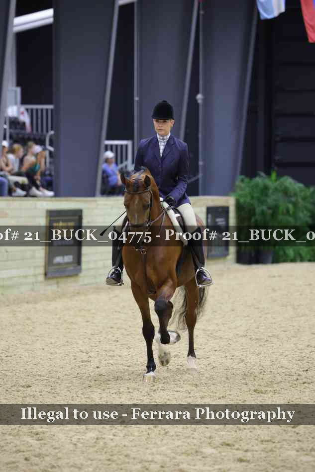 Proof 21_BUCK_04775