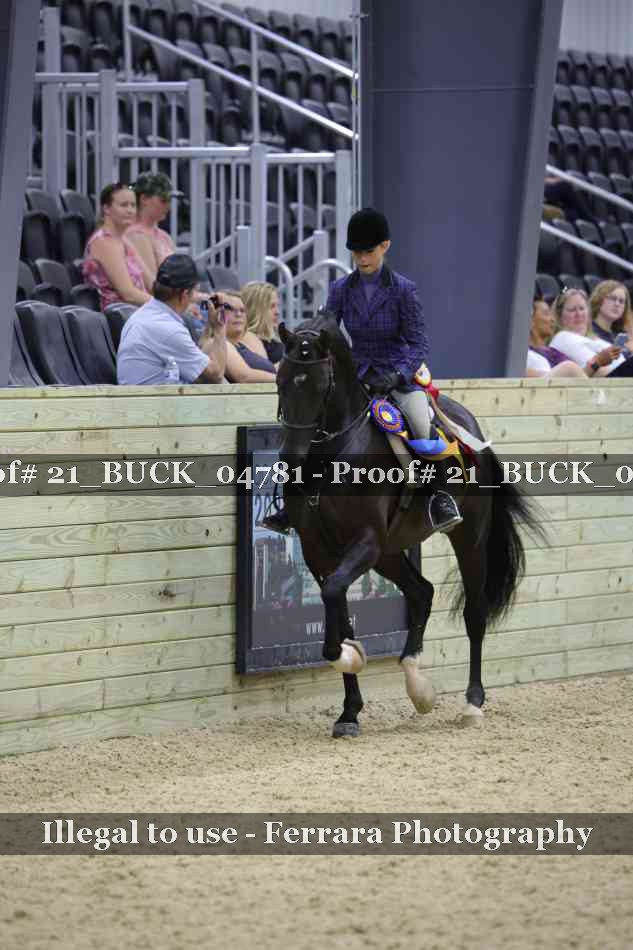 Proof 21_BUCK_04781
