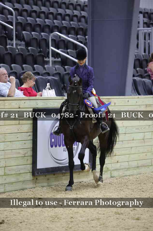 Proof 21_BUCK_04782
