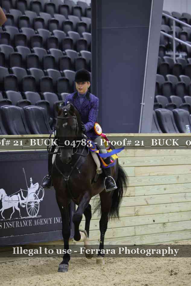 Proof 21_BUCK_04783
