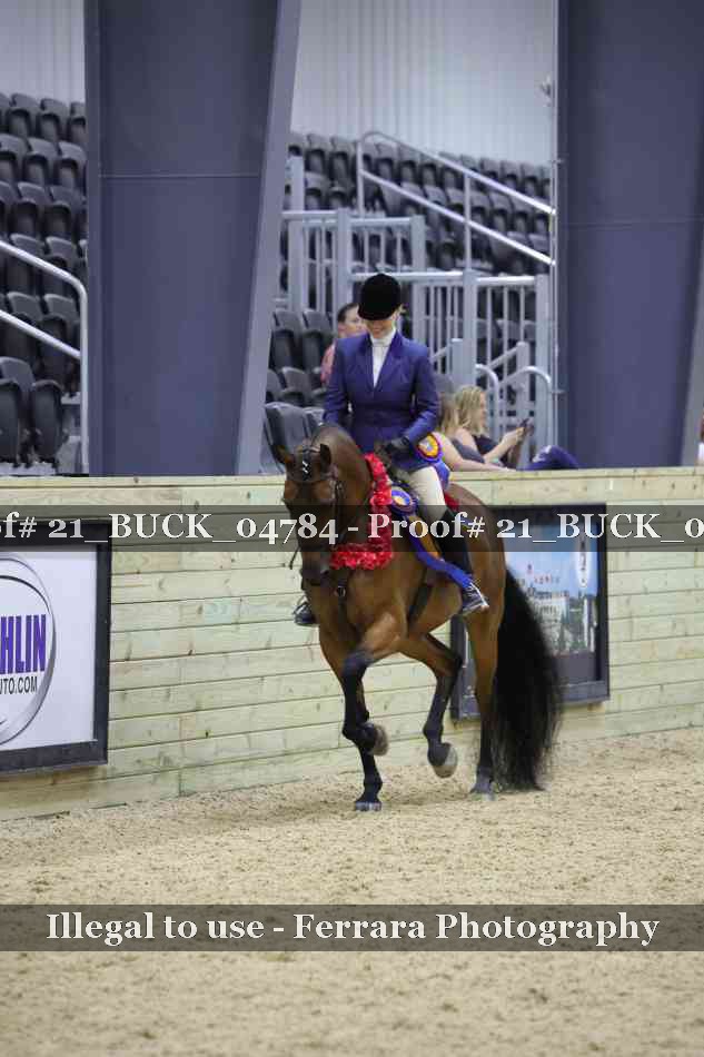 Proof 21_BUCK_04784