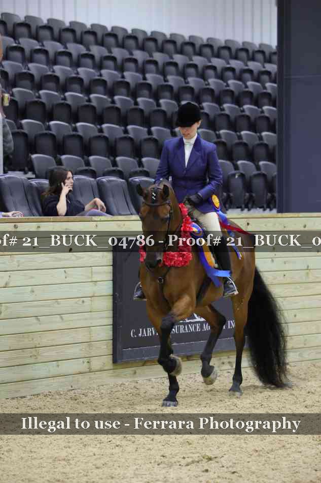 Proof 21_BUCK_04786