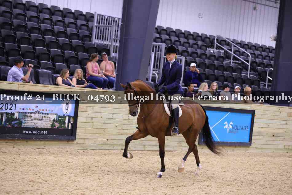 Proof 21_BUCK_04793