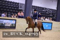 21_BUCK_04793 proof
