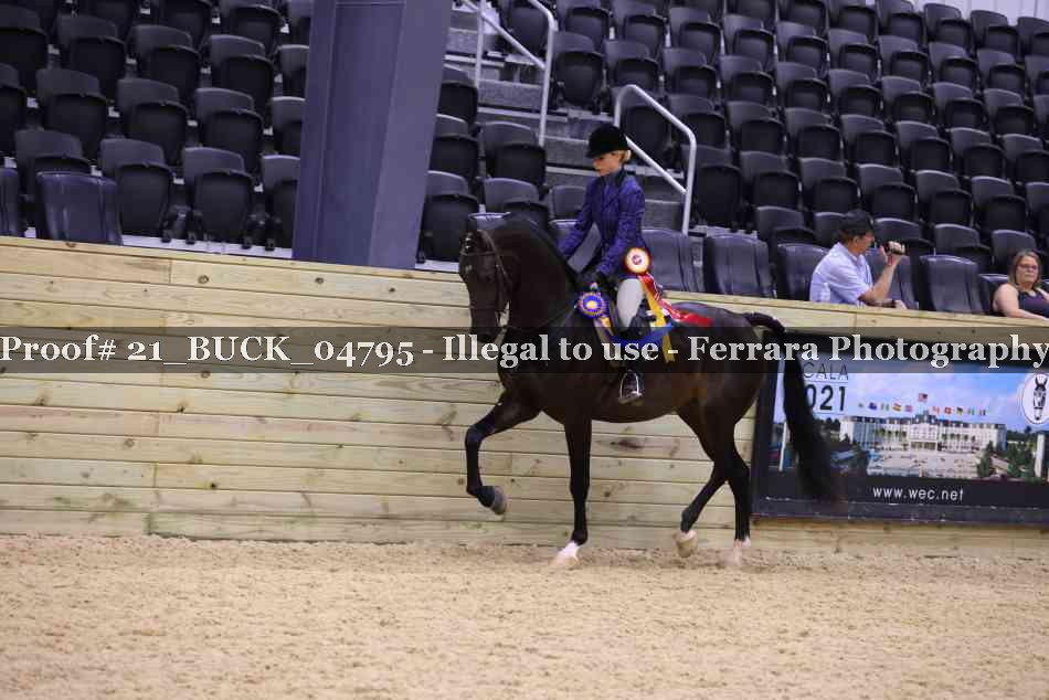 Proof 21_BUCK_04795