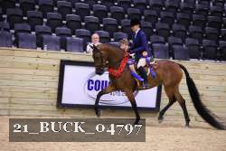 21_BUCK_04797 proof