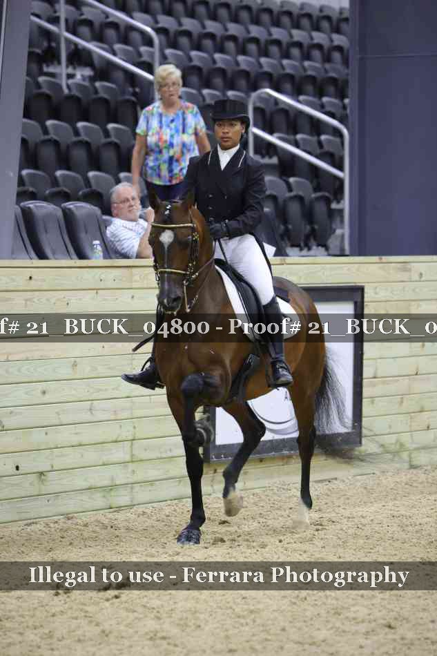Proof 21_BUCK_04800