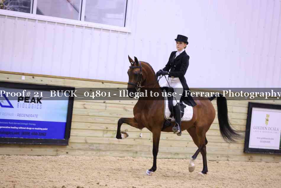 Proof 21_BUCK_04801