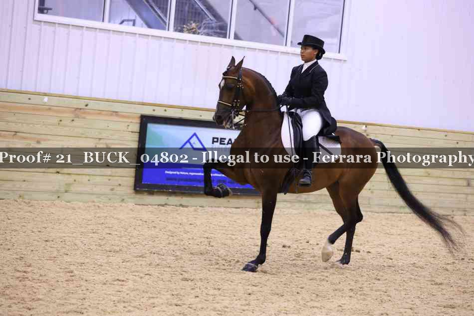 Proof 21_BUCK_04802