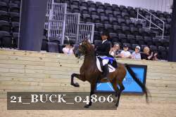 21_BUCK_04806 proof