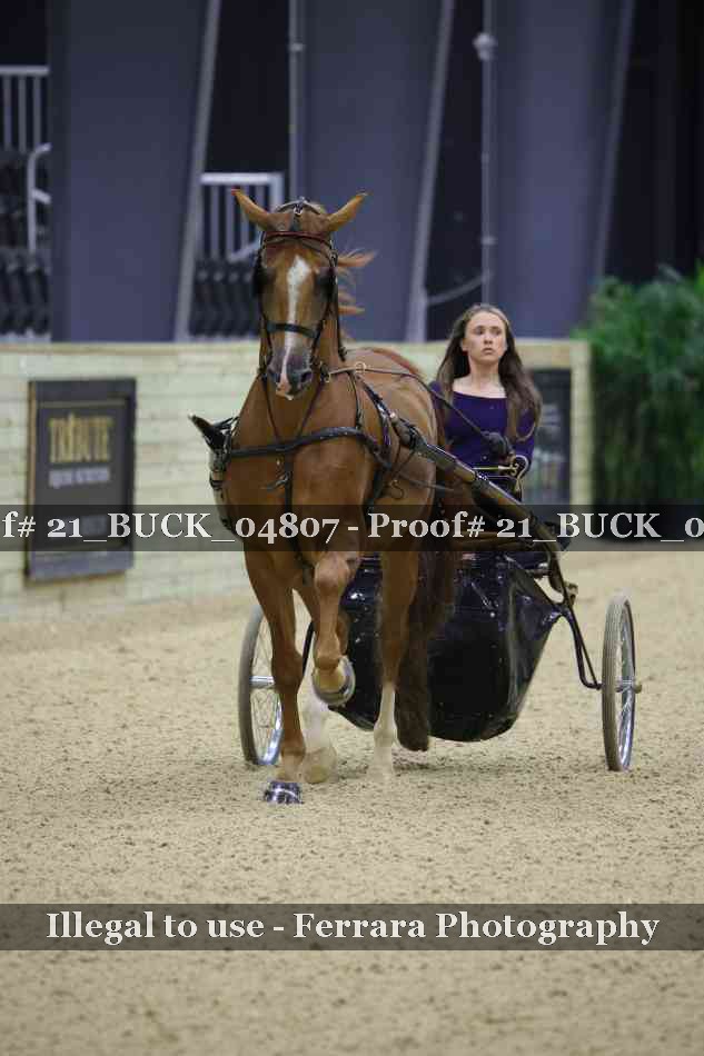 Proof 21_BUCK_04807