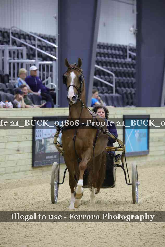Proof 21_BUCK_04808