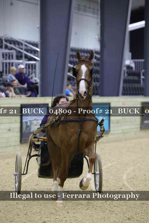 Proof 21_BUCK_04809