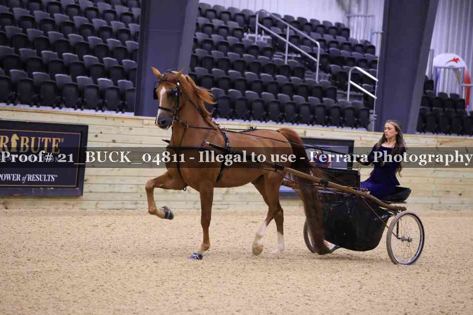 Proof 21_BUCK_04811