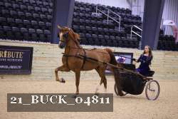 21_BUCK_04811 proof